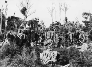 Cowdell, J T fl 1890s-d 1907 : Limestone rock formations at Hikurangi, Northland