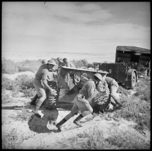 Gun manoeuvred during artillery training in the Western Desert