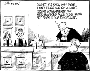 'Damned if I know why these young thugs are so violent!... Recent governments and Mrs Bradford made sure they've never been hit or disciplined'. 23 February 2009