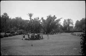 Picnic in Cairo Park