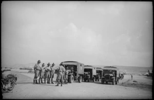 Convoy of ambulances prepares to leave Maadi camp, Egypt