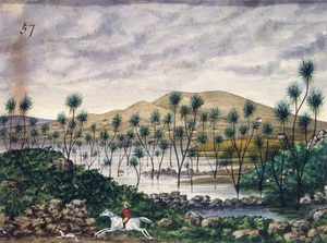 Backhouse, John Philemon 1845-1908 :[Cabbage trees growing in a swamp with a settlement in the background and a man on a white horse in the foreground. ca 1880]