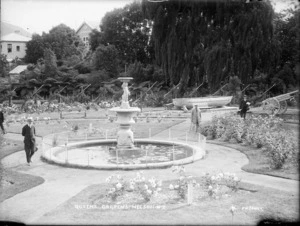 Fountain and formal rose gardens in Queens Gardens, Nelson