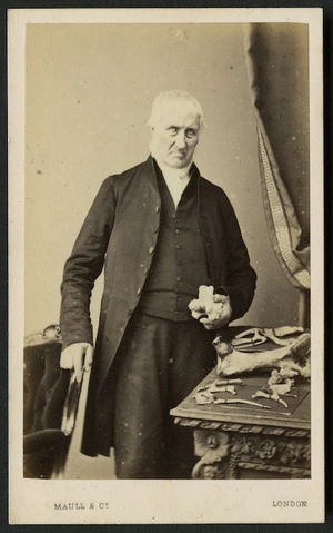 Maull & Company: Portrait of Rev M Ellis
