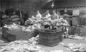 Grading rabbit skins