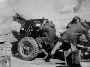 New Zealand gunners in action