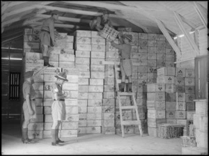 Interior of store at NZEF Base showing cases of tinned foods, Maadi, Egypt