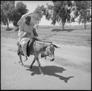 Local inhabitant riding a donkey, Egypt