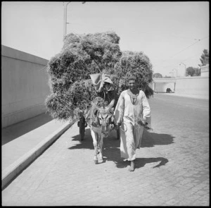 Local inhabitant leading a donkey pulling a hay cart, Egypt