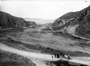 Ngauranga Gorge in Wellington