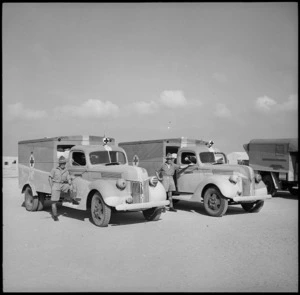 Some of the ambulances presented to the NZEF, Egypt