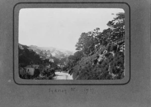 Sydney Street, Wellington