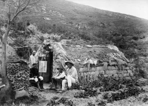 Chinese gold miners with Rev Alexander Don, outside a sod dwelling at Tuapeka, Otago
