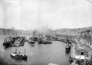 Muir and Moodie fl 1898-1916 :Shipping Wellington
