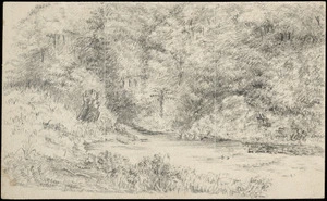 Pearse, John, 1808-1882 :Near Mungaroa Bridge New Zealand above Upper Hutt. Rd leading to Braithwaite's clearing, nr Nga Hauranga. [ca 1852-1856].