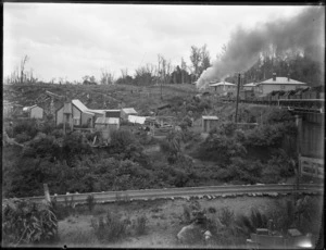 Scene at Ohakune, Ruapehu district