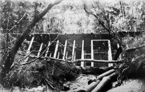Wooden aquaduct for transporting logs, Tairua