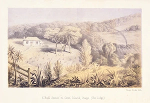 Brooks, Vincent :A bush section on Green Island, Otago; Fox Lodge. Vincent Brooks, lith. [London, E. Stanford, 1857]