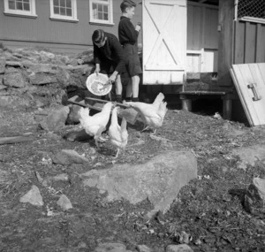 Two unidentified children feeding hens