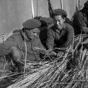 Korean showing a New Zealand soldier how to prepare rice straw for thatching