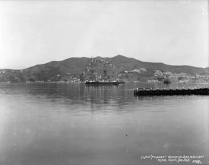 View of H.M.S. Pyalades Anchored in Wellington Harbour