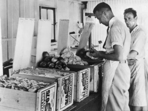 Government fruit inspectors checking apples