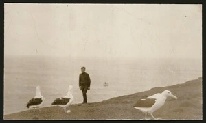 William Paynter and mollymawks, Chatham Islands