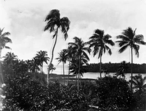 Looking from the island of Ngatangiia, Rarotonga, Cook Islands, towards the island Motu Oneroa