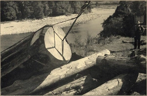 Hauling a log from the Aorere River, Tasman District