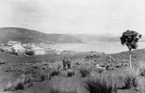 View of Plimmerton looking toward the beachfront
