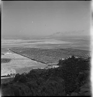 View of Takrouna, Tunisia, looking down on olive groves - Photograph taken by M D Elias