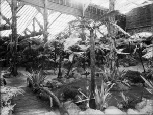 Inside the fernery at the New Zealand International Exhibition in Christchurch