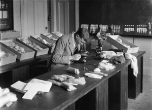 A man looking at wool fibre through a microscope