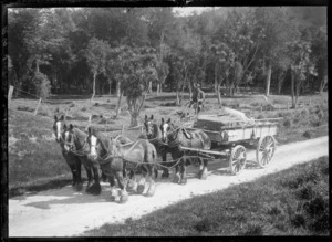 Horse-drawn dray, carrying a heavy load, probably Hastings district