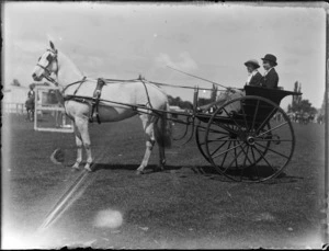 Two women at the races riding in a horse drawn buggy, Puketapu, Hastings, Hawke's Bay District