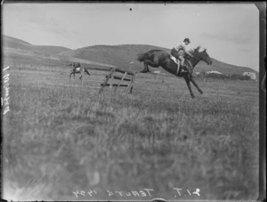 Man and horse jumping a wooden gate fence, farmland beyond, Te Aute, Hastings, Hawke's Bay District
