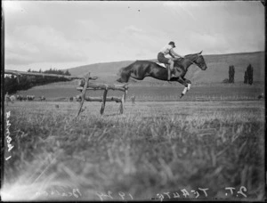 View of a man [Bealson] and horse, jumping a wooden fence, farmland beyond, Te Aute, Hawke's Bay District