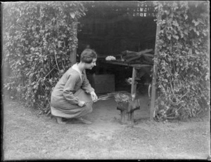 Unidentified woman crouching next to a trellis, cooking on a camp stove, probably Hastings district