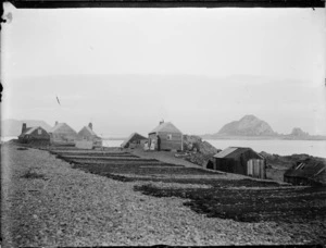 Fishing settlement, Island Bay