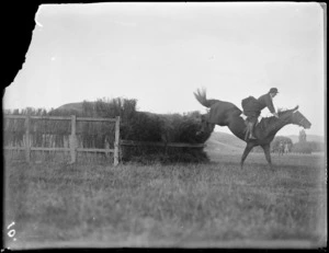 Autumn Show, showing a woman on a black horse jumping a thatched fence, Hawke's Bay District