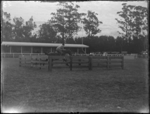 A horse ready to jump at the Autumn Show, probably Hastings district