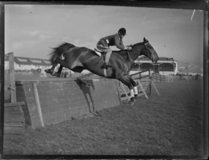 A horse jumping at the Autumn show, probably Hastings district