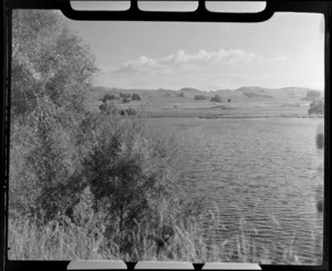 Lake Tutira, Hawke's Bay