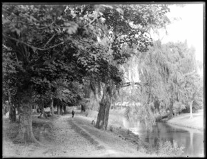 Schoolboy walking under the trees along the Avon River, Christchurch