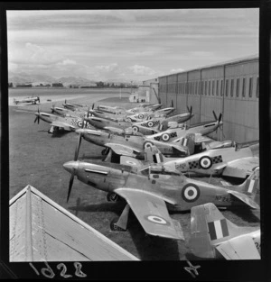 Mustang fighter planes in storage at Woodbourne Airforce Base, Blenheim
