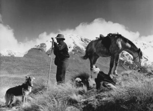 A high country shepherd with horse and dogs