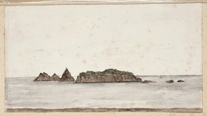 Douglas, Charles Edward, 1840-1916 :Open Bay Island. [1870-1900]