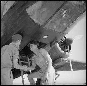 Two New Zealand pilots serving with the RAF in the Middle East