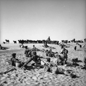 2nd NZEF 6th Infantry Brigade waiting for a shepherd and his flock to pass, alongside the Nile River, Egypt