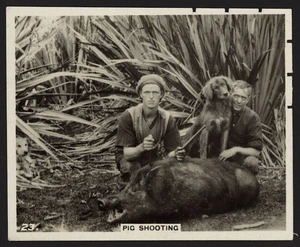 W D & H O Wills :A sporting holiday in New Zealand. No. 23 Pig shooting [Front. 1927]